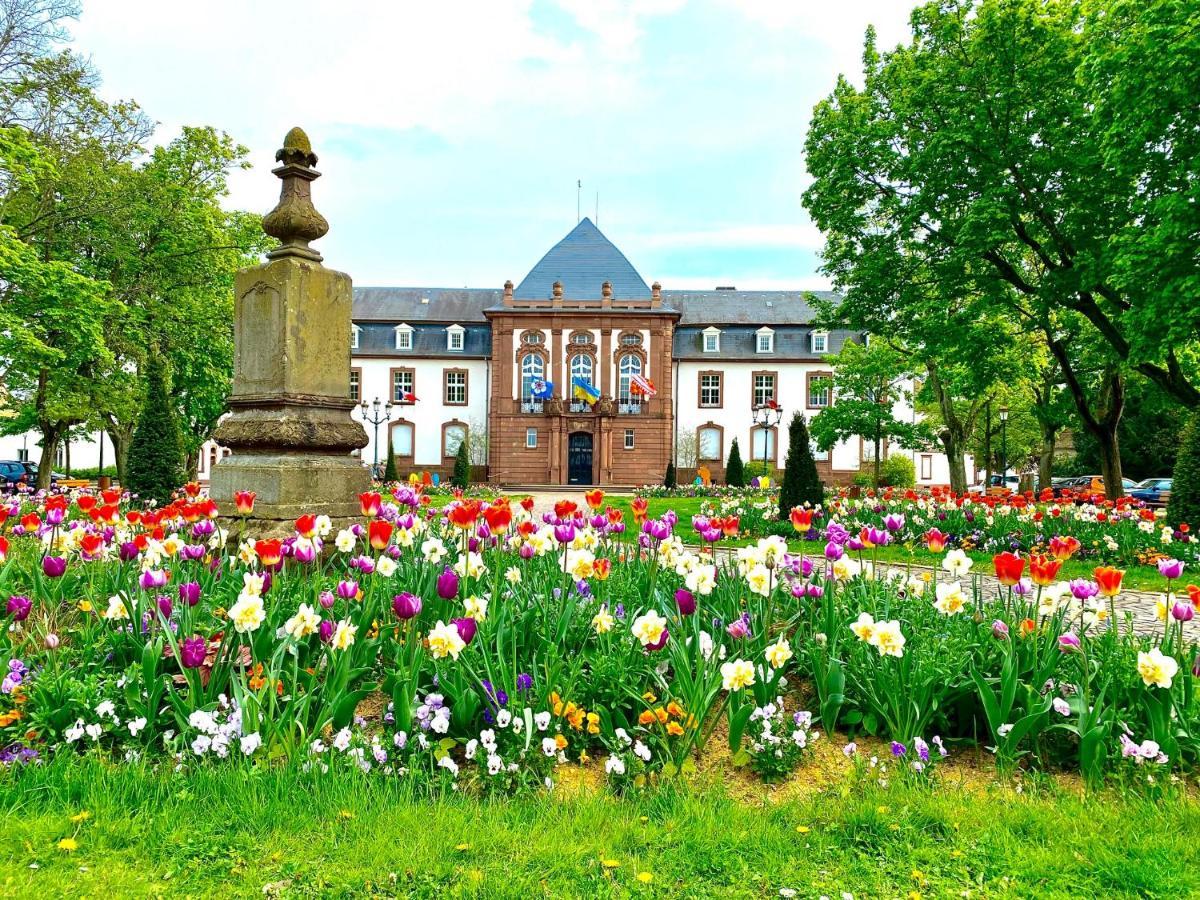 Charmant Studio A Haguenau, A 25Mn De Strasbourg المظهر الخارجي الصورة